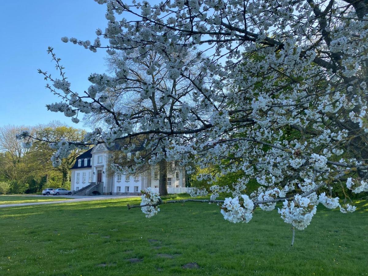 Rosenlund Gods - Kaelder B&B Sakskøbing 外观 照片